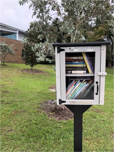 White Little Free Library with books