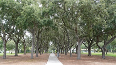 Crest Lake Park