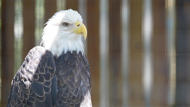 Moccasin Lake Nature Park