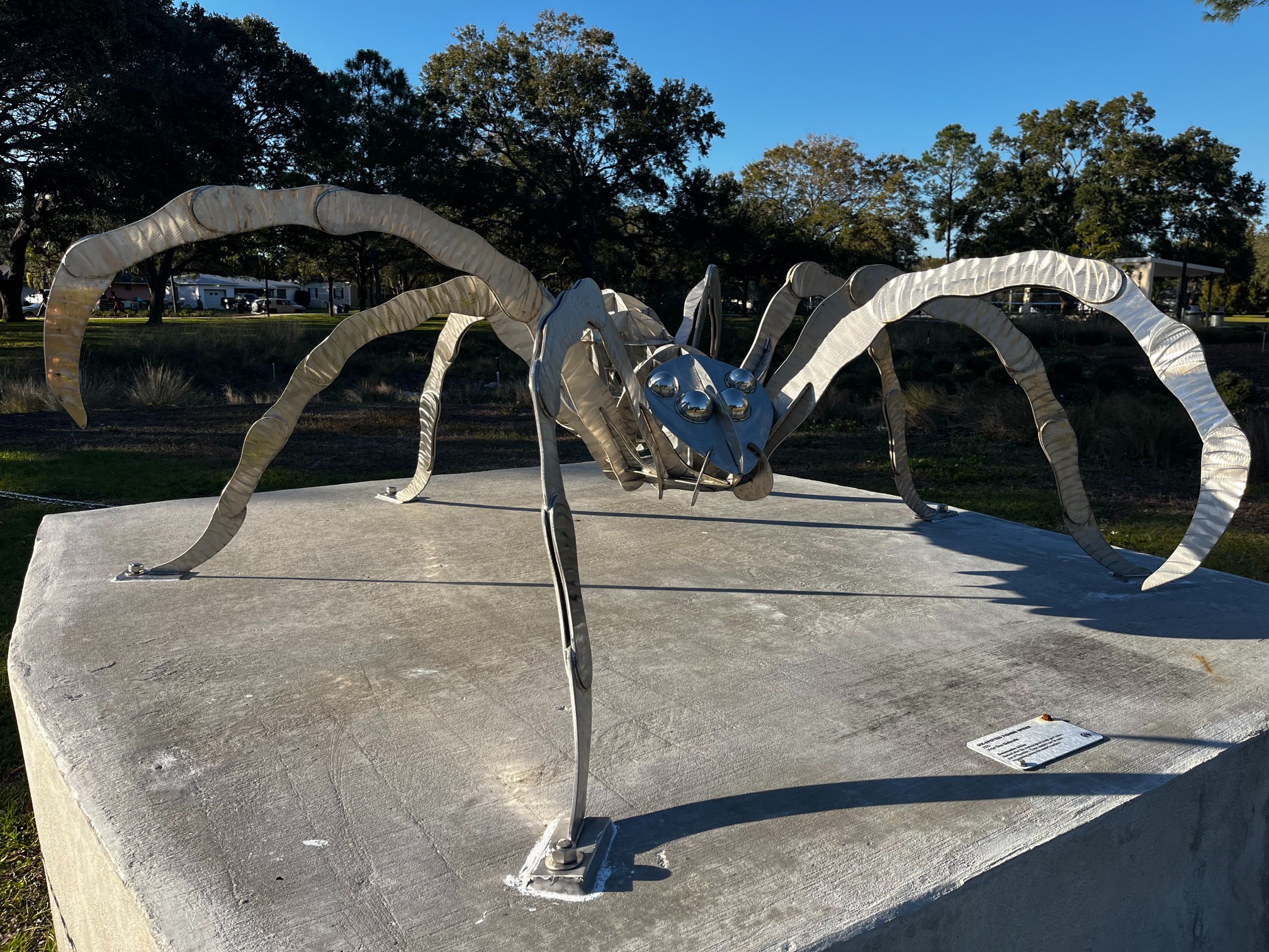 Crest-Lake-Spider-6.jpg