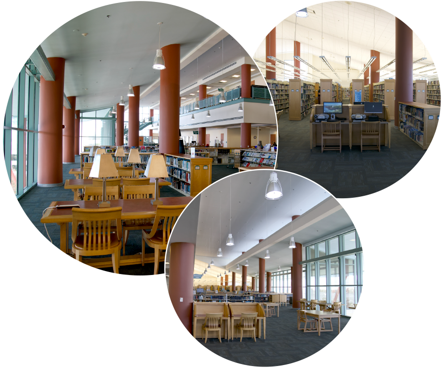 Main Library Circles 5.png