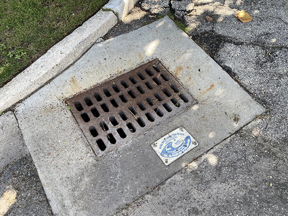 Storm Drain in North Beach