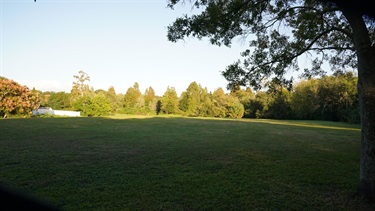 Trees at allens creek