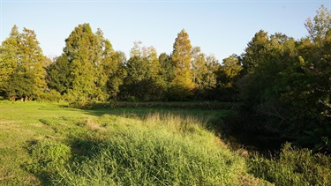 hills at allens creek