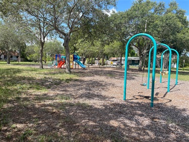 Swings at Charles Park