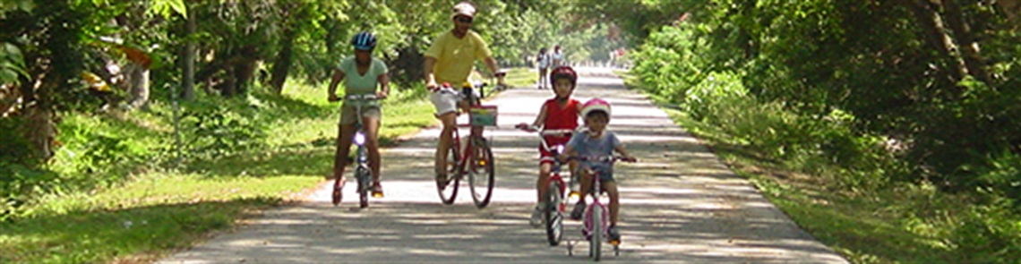 Duke Energy Trail (Pinellas Trail Loop North Gap) with bikes on it