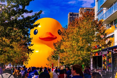 Ducky with trees.jpeg
