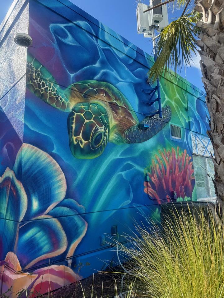 Outdoor mural on a building of a sea turtle swimming under water.