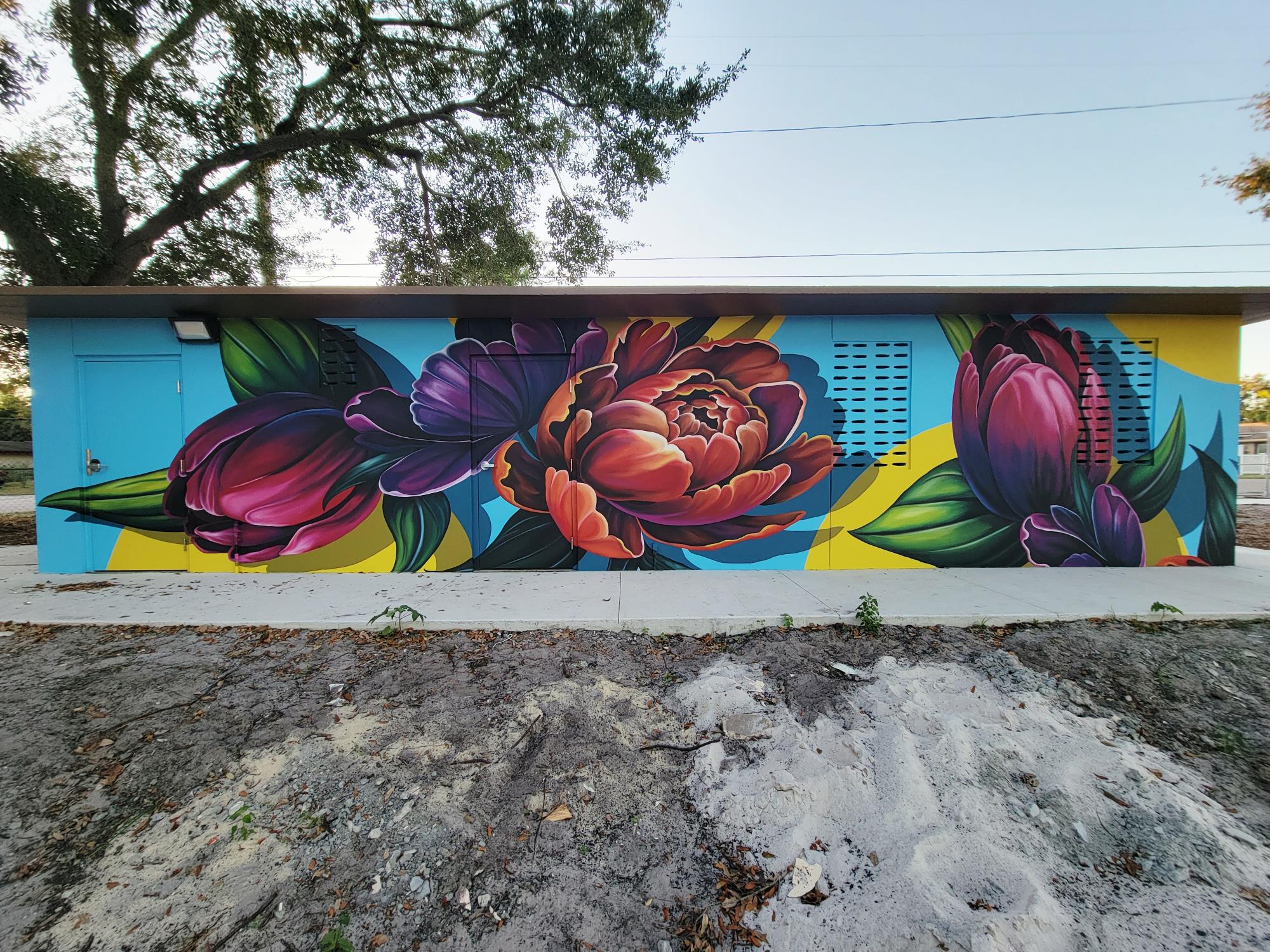 wide view of the flower paintings