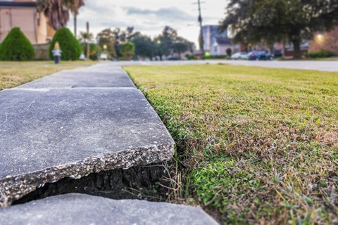 sidewalk, crack, broken, hazard, dangerous