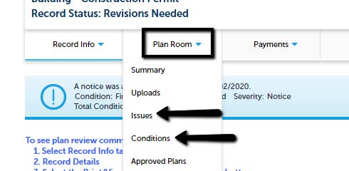 How_to_View_Issues_or_Conditions2.jpeg