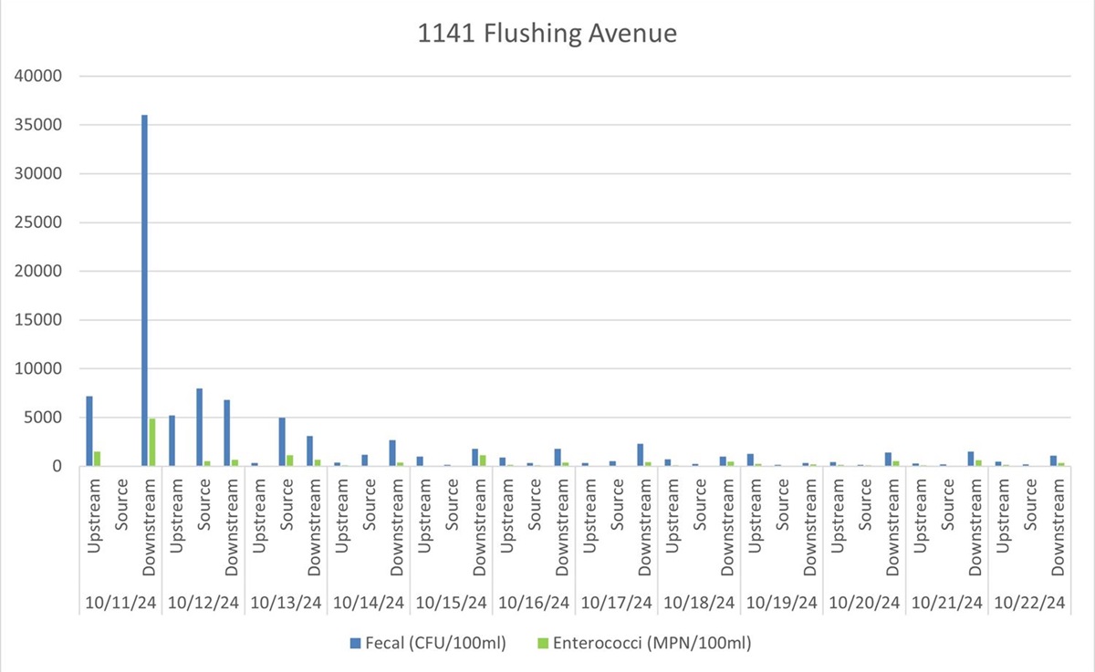 1141FlushingAve.jpg