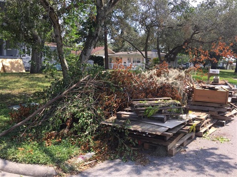 Hurricane Debris in Street.jpg