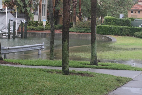 Water Flooding into the city