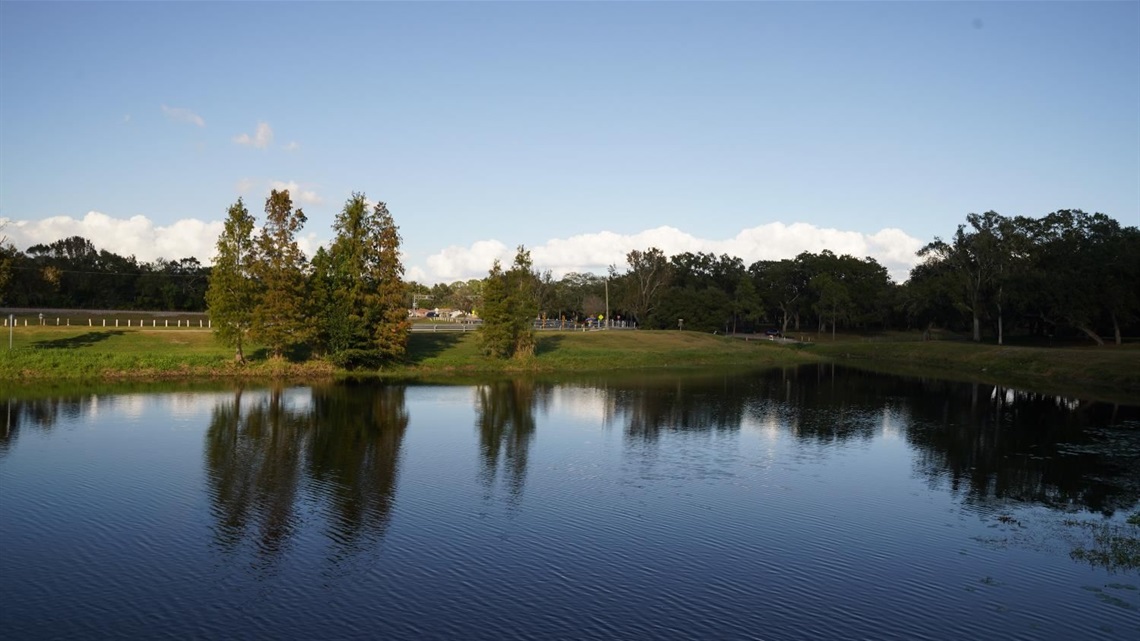 Image of the lake at Cliff Stephens park
